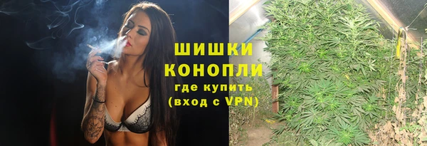 гидропоника Инта