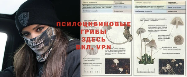 бутик Иннополис