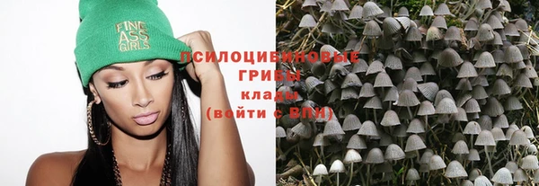 гидропоника Инта