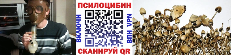 Псилоцибиновые грибы прущие грибы  Солигалич 